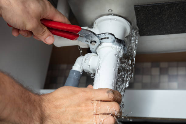 Best Mold removal after water damage  in Ocilla, GA