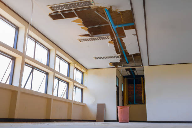 Best Water damage contractors near me  in Ocilla, GA