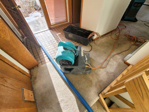 Best Carpet water damage restoration  in Ocilla, GA