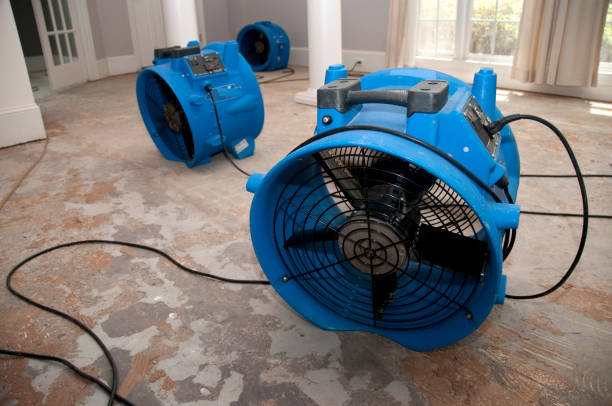 Best Fire Damage Restoration  in Ocilla, GA
