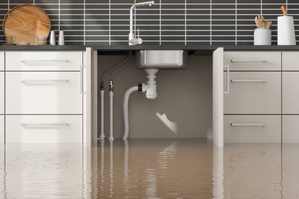 Best Flood restoration services  in Ocilla, GA
