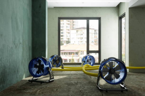 Best Professional water damage repair  in Ocilla, GA